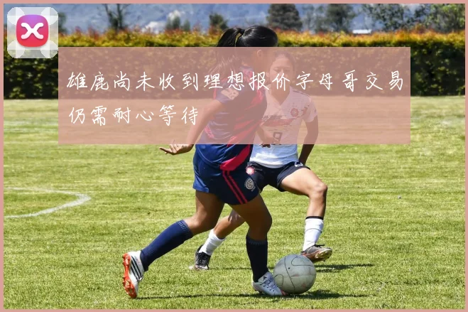 雄鹿尚未收到理想报价字母哥交易仍需耐心等待